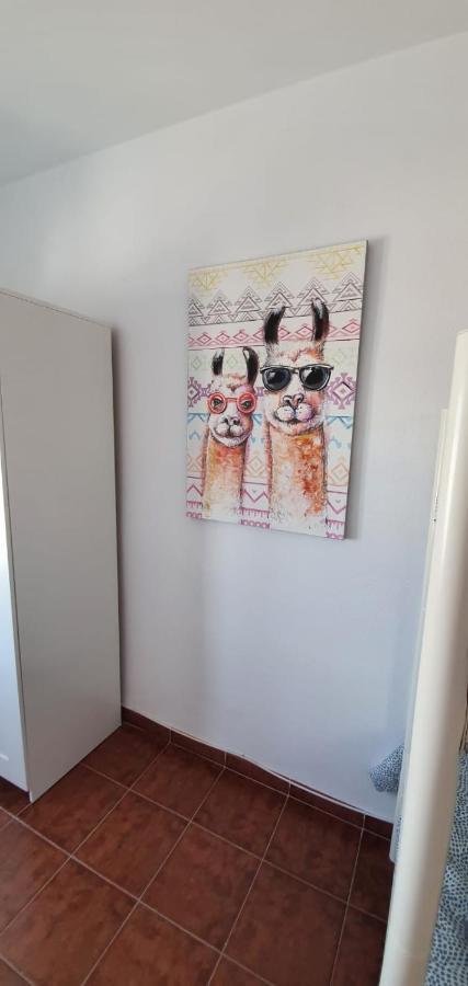 De Pita Y Mar Villa San José Kültér fotó